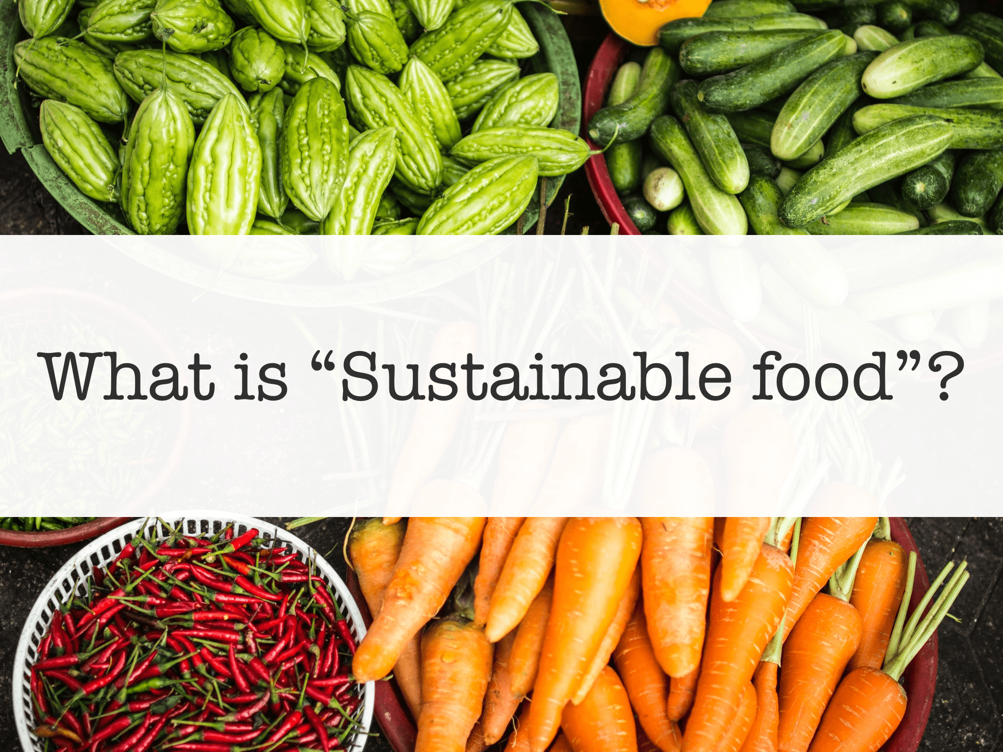 what-is-sustainable-food