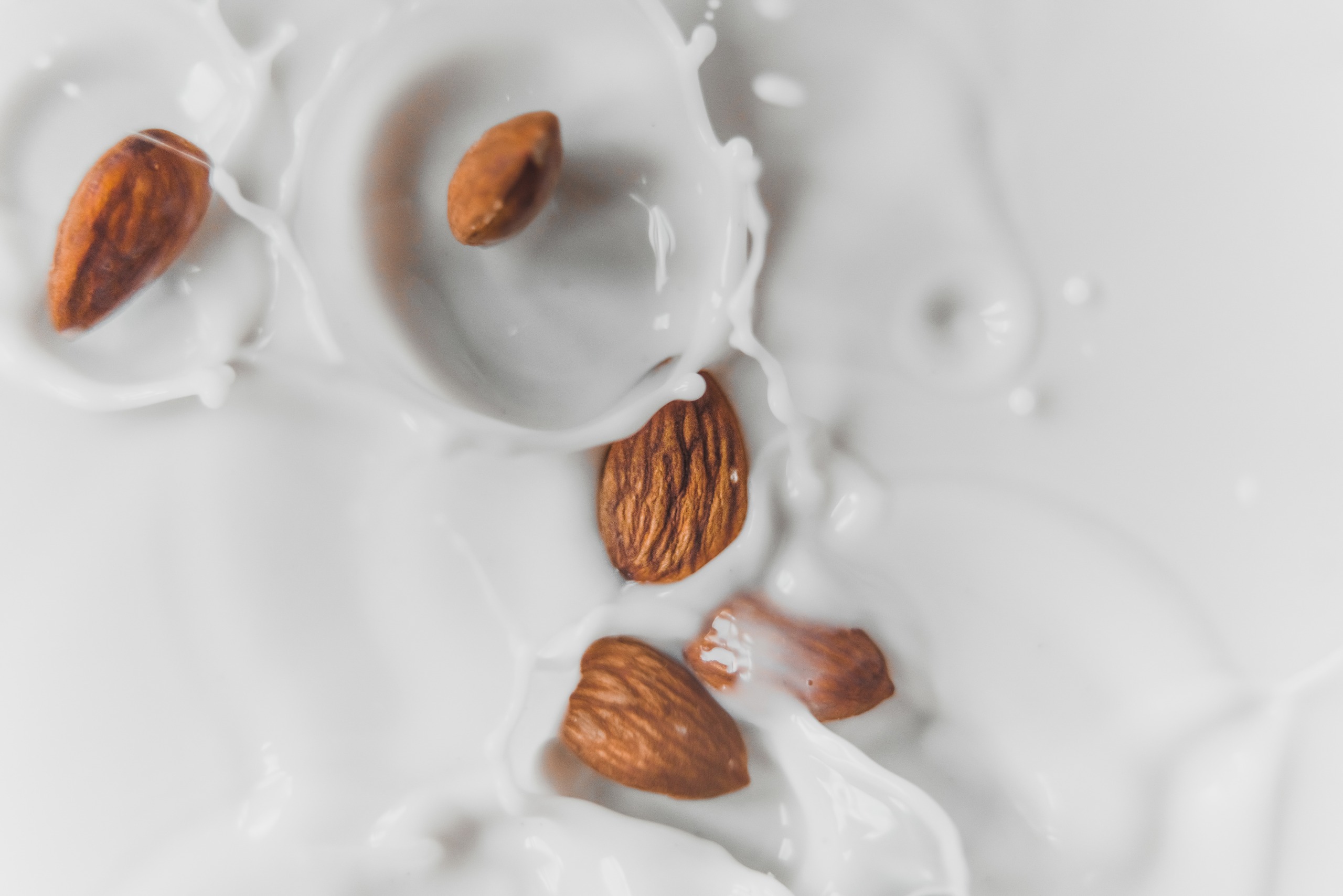 what-is-plant-based-milk-that-attracts-attention-for-its-healthiness
