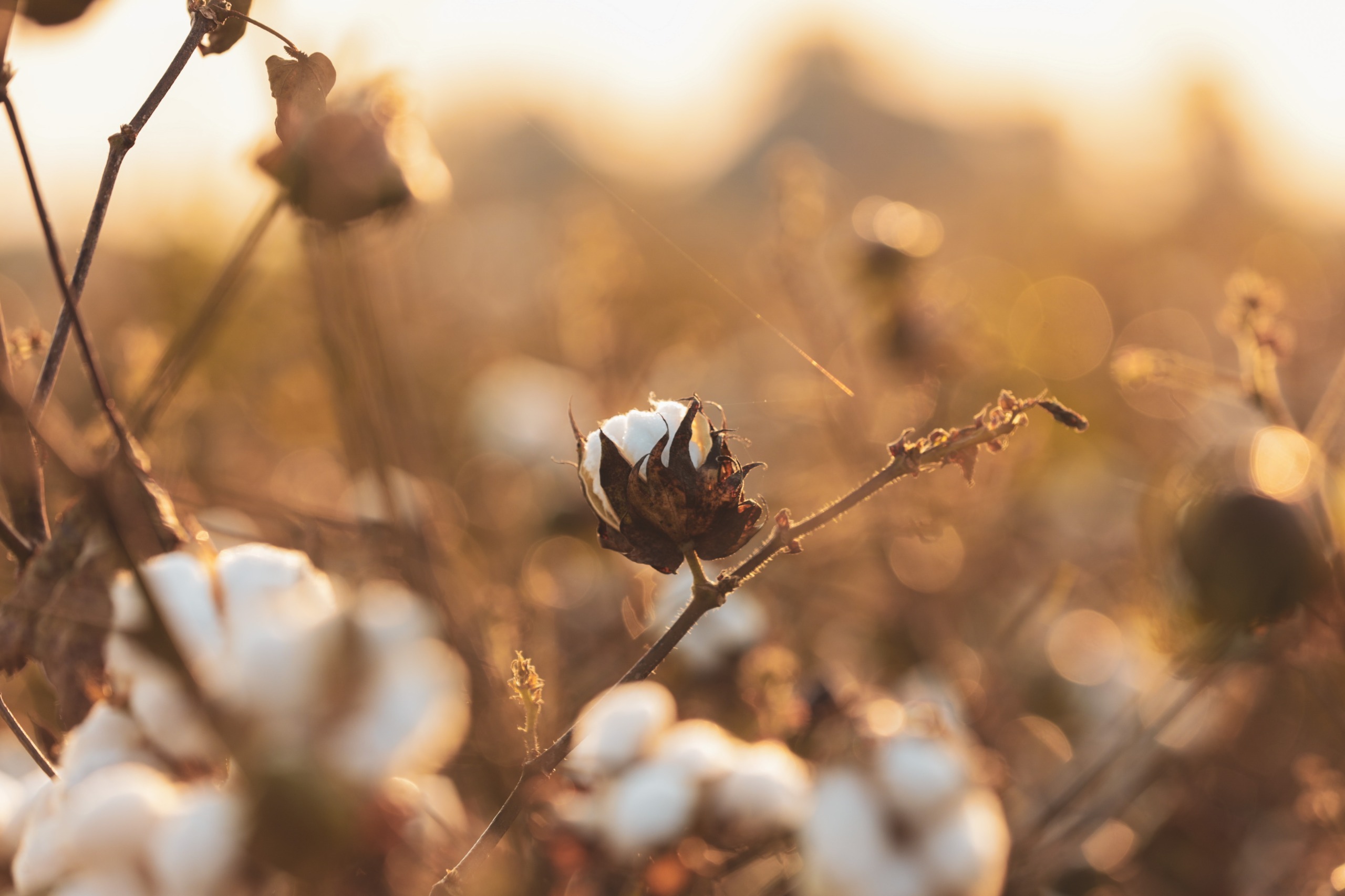 what-is-sustainablefashion