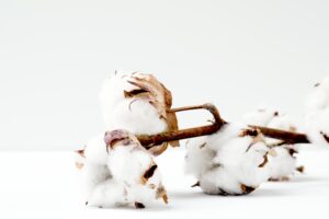 what-is-sustainablefashion