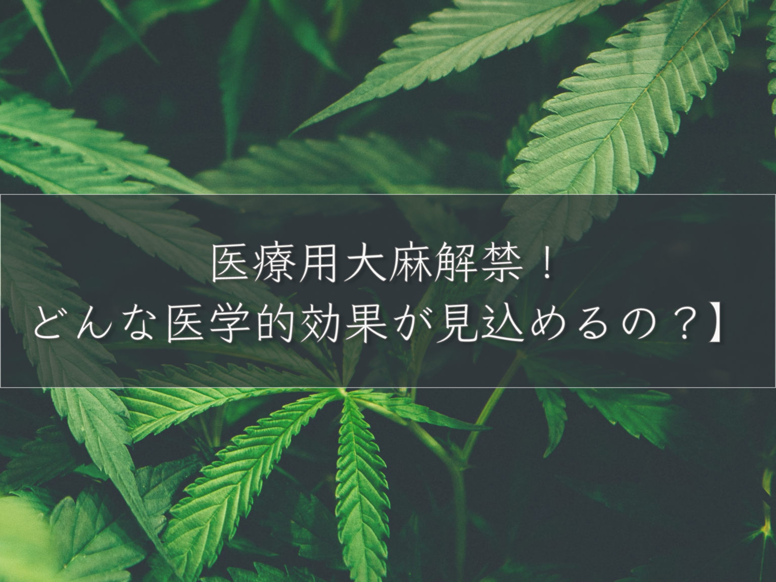 歯医者と大麻 | 大麻 規制 いつから , 【大麻ファミリー歯科】江別市・大麻駅の歯科クリニック – BYTY