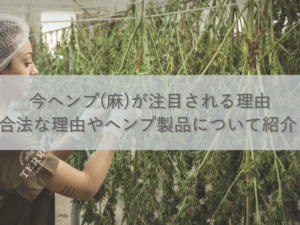 why-hemp-is-getting-attention-now