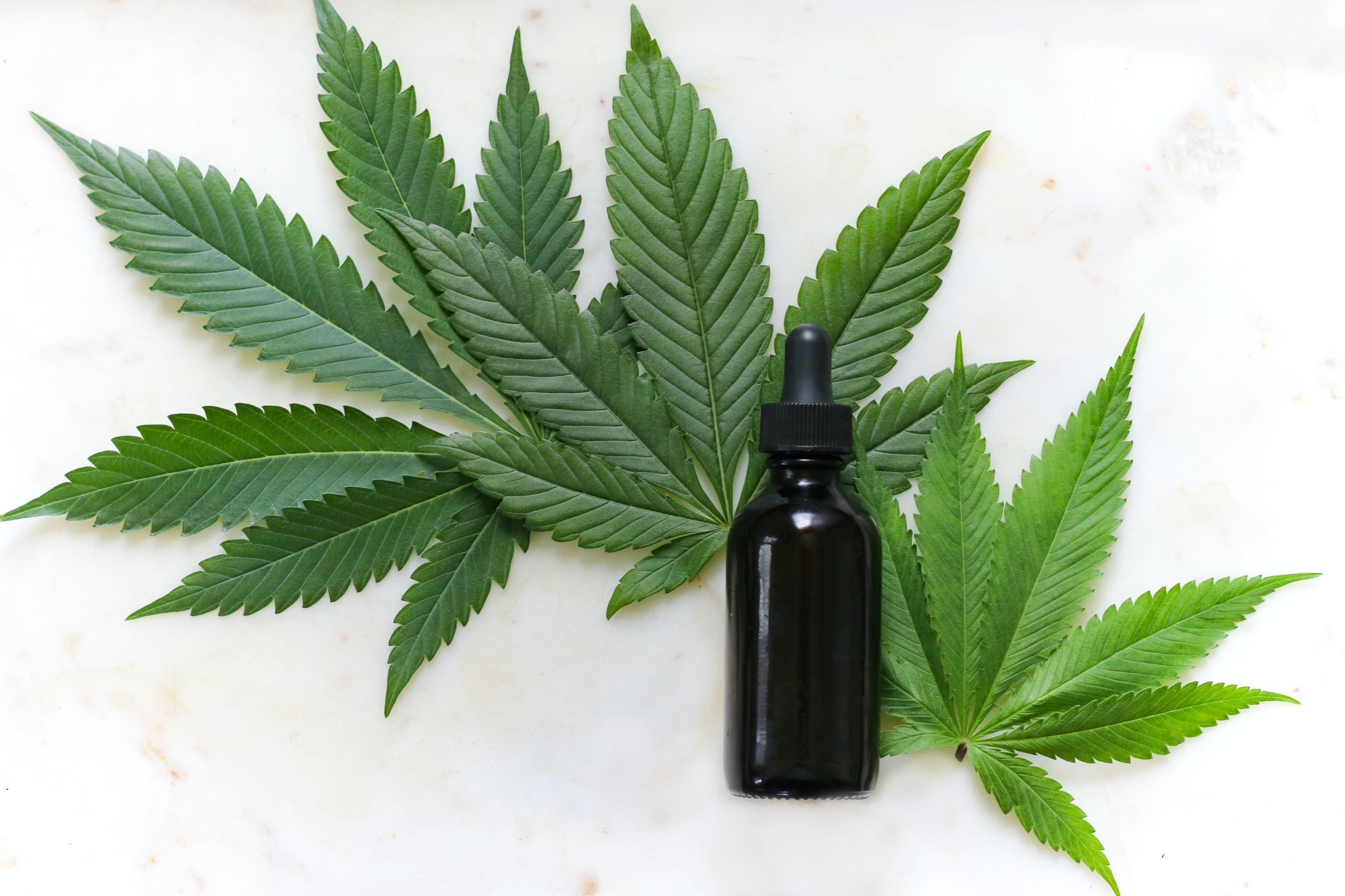 cannabis-and-cbd