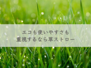 emphasis-on-ecology-and-ease-of-use