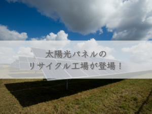 solar-panel-recycling-factory-appears