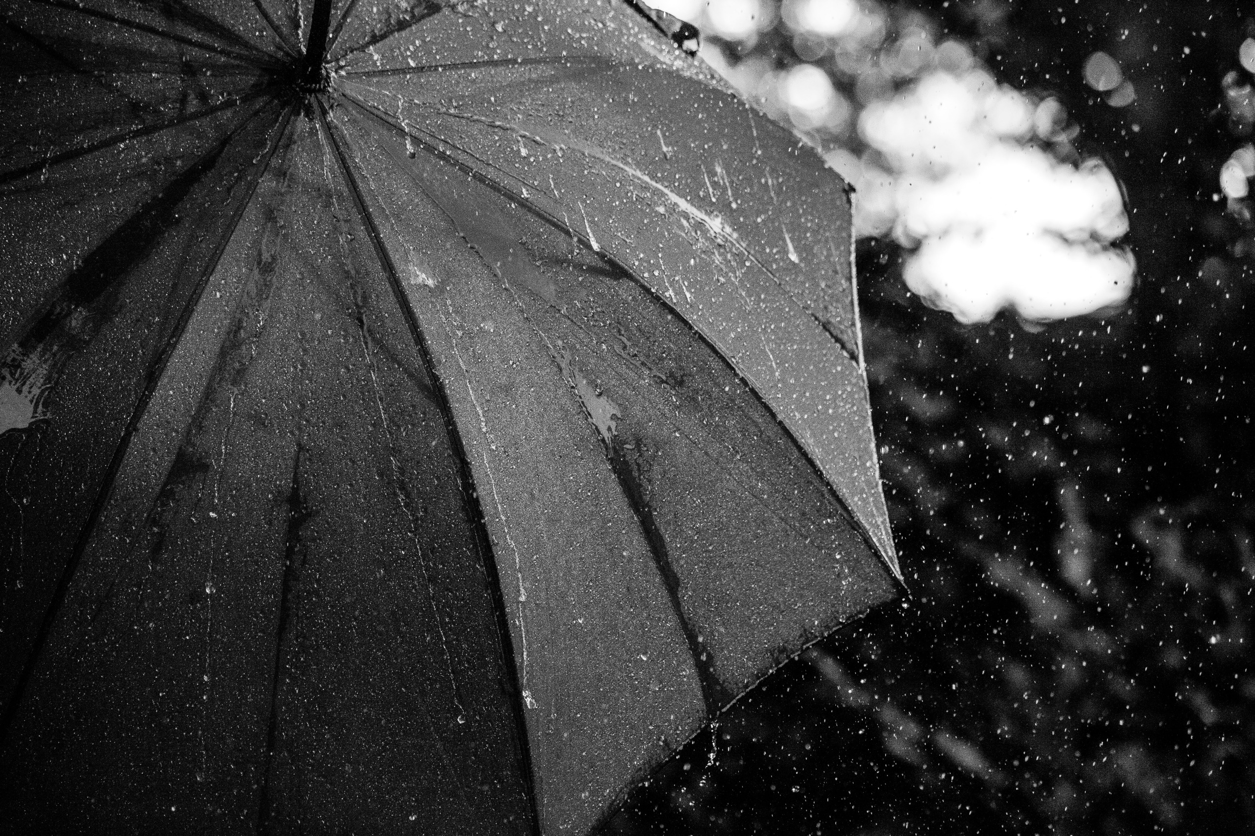 japan-was-the-country-with-the-most-discarded-umbrellas-in-the-world
