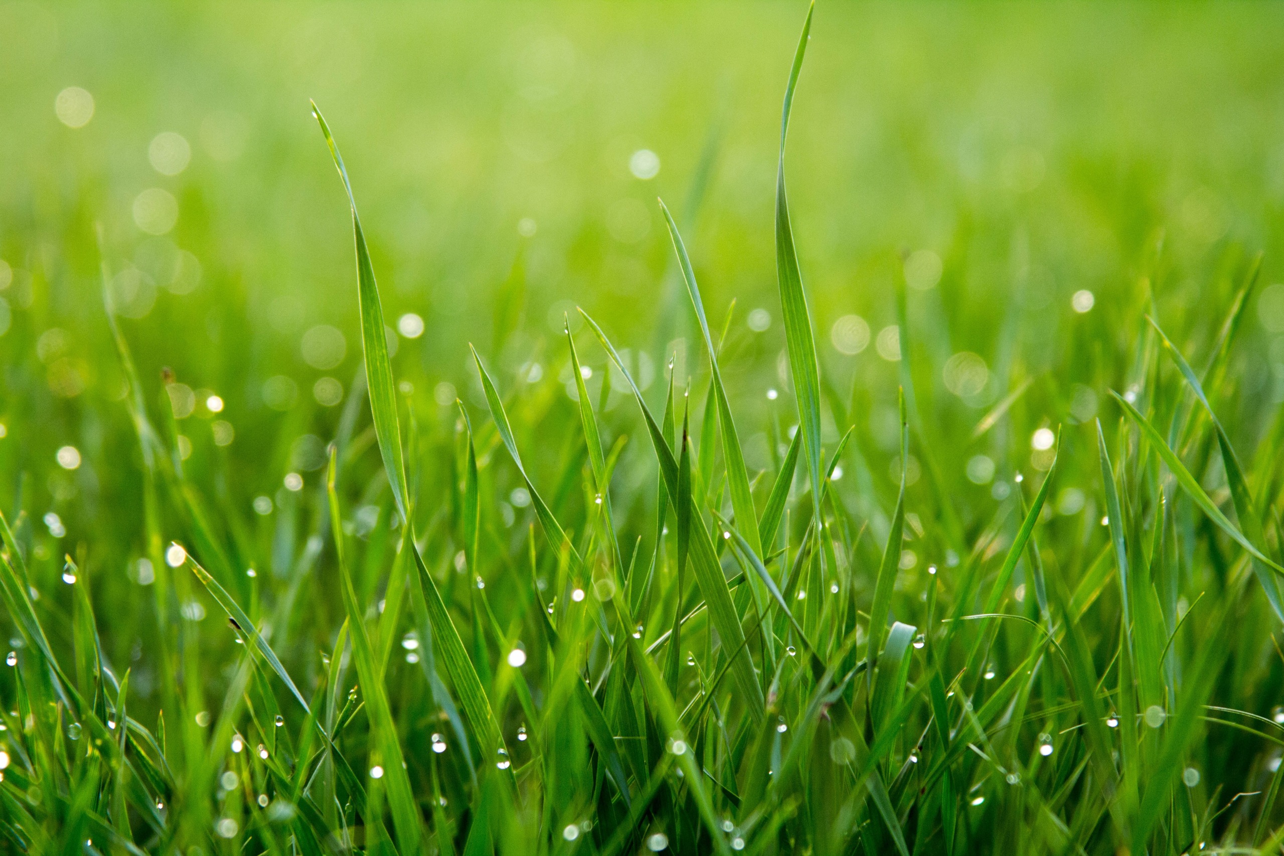 emphasis-on-ecology-and-ease-of-use