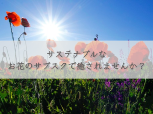 would-you-like-to-be-healed-by-a-sustainable-flower-sub-sook