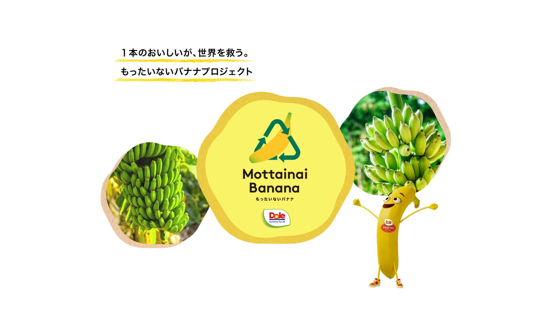 reduce-banana-waste-what-is-the-mottainai-banana-project