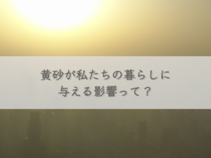 what-impact-does-kosa-have-on-our-lives