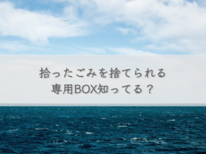 do-you-know-a-special-box-where-you-can-throw-away-the-garbage-you-picked-up