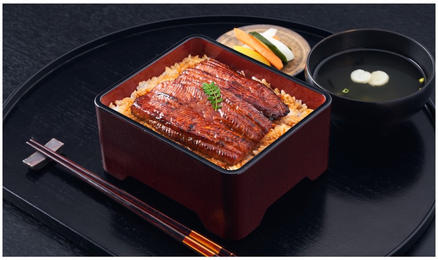 introducing-plant-based-eel