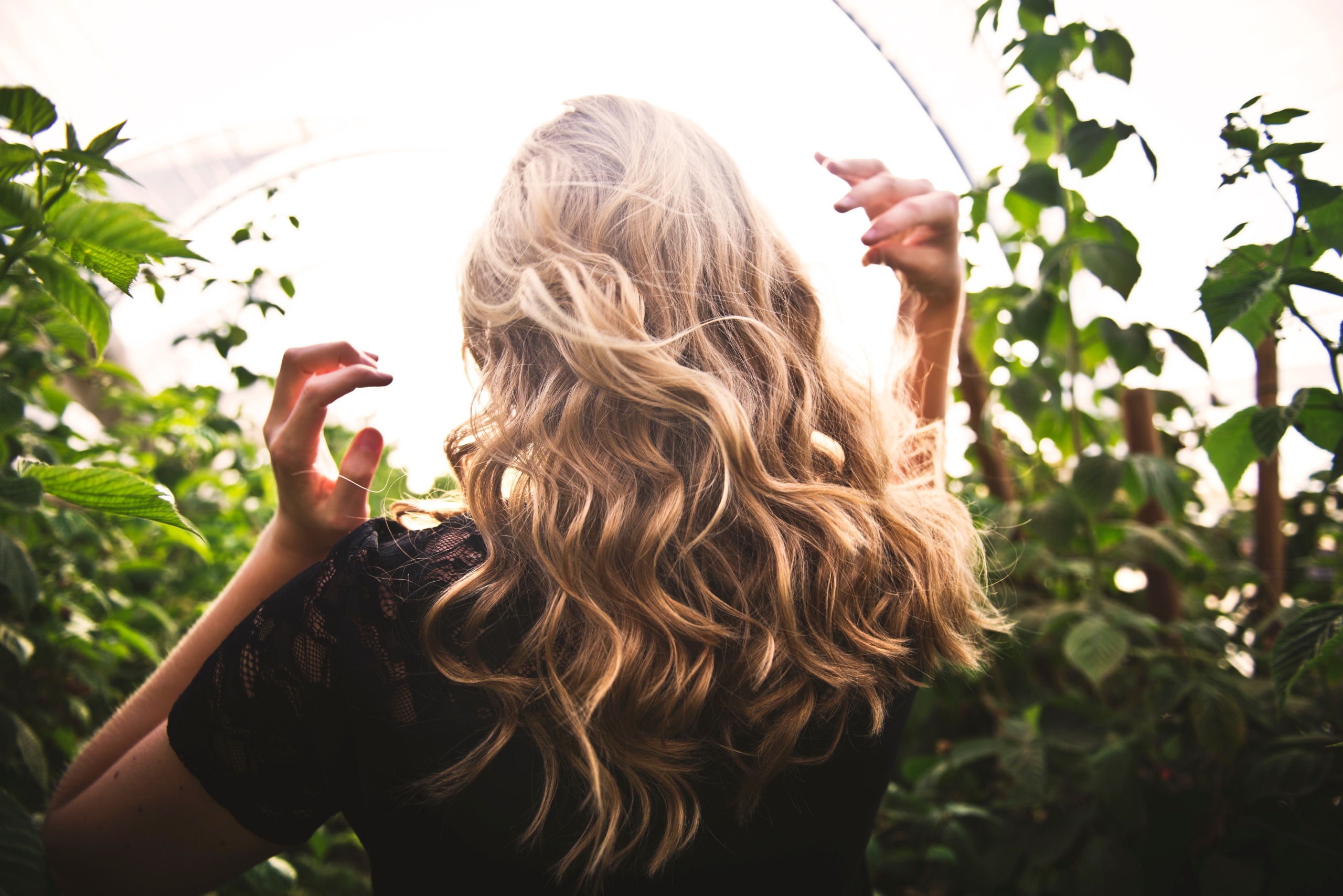 relationship-between-hemp-protein-and-hair